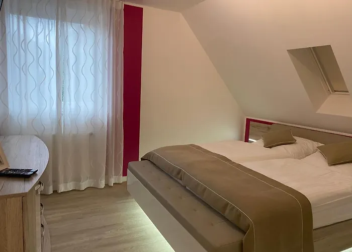 Olli Koch Daire Reken